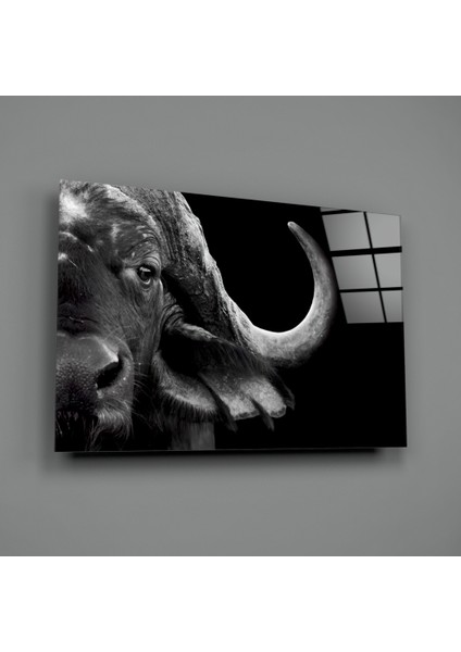 Bizon Cam Tablo - 72X46 cm fiyatları