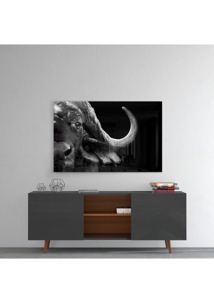 Bizon Cam Tablo - 72X46 cm fırsatları