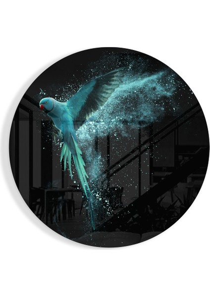 Kuş Cam Tablo - 60X60 cm