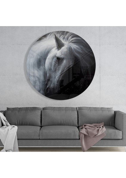 At Cam Tablo - 60X60 cm modelleri