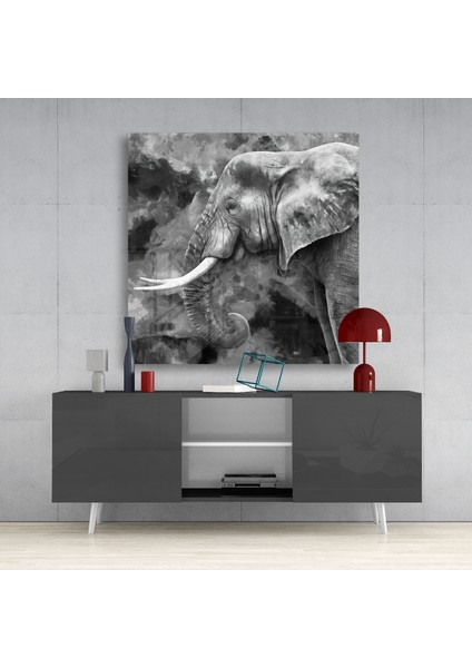Fil Cam Tablo - 40X40 cm fırsatları