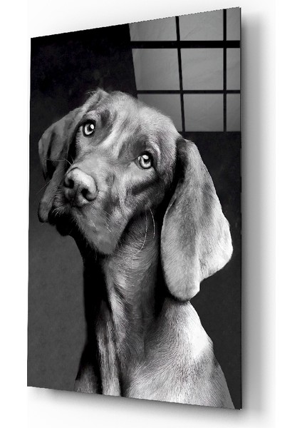 Masum Köpek Cam Tablo - 110X70 cm