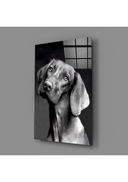Masum Köpek Cam Tablo - 110X70 cm