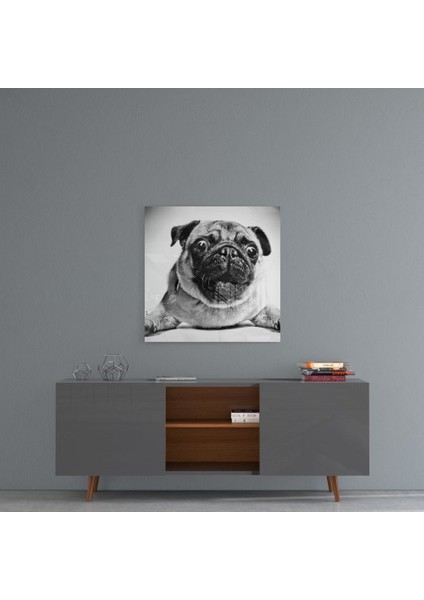 Pug Cam Tablo - 40X40 cm