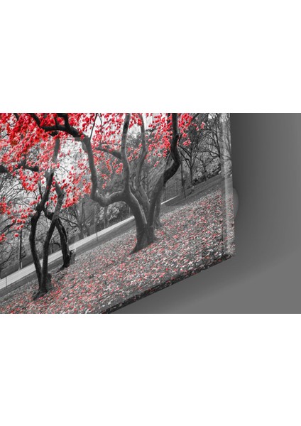 Kızıl Ağaç Cam Tablo - 40X40 cm modelleri