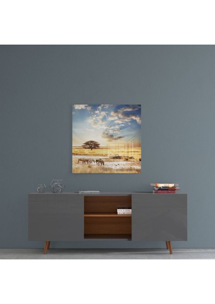 Afrika (Geniş Çayır) Cam Tablo - 40X40 cm fırsatları