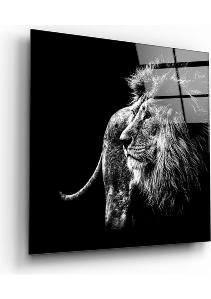 Aslan Cam Tablo - 40X40 cm