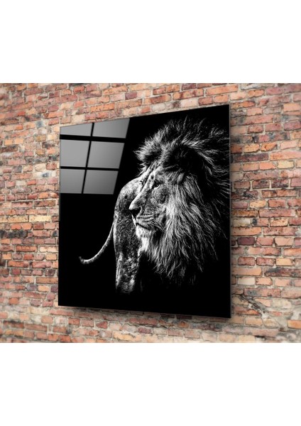 Aslan Cam Tablo - 40X40 cm fiyatları