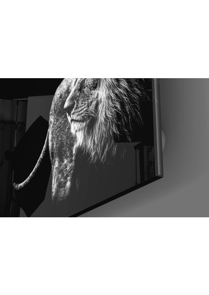Aslan Cam Tablo - 40X40 cm modelleri