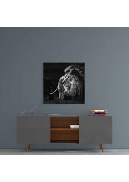 Aslan Cam Tablo - 40X40 cm fırsatları