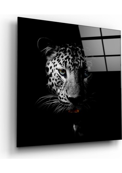 Leopar Cam Tablo - 40X40 cm