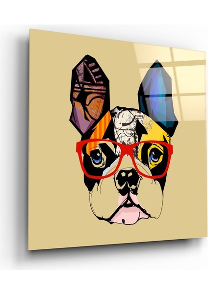 Bulldog Köpek Cam Tablo - 40X40 cm