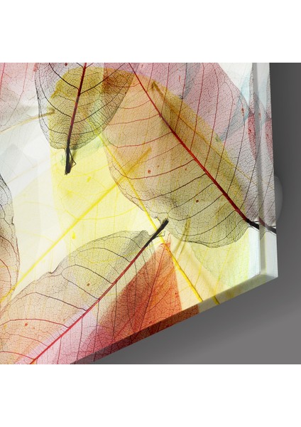 Renkli Yapraklar Cam Tablo - 72X46 cm modelleri