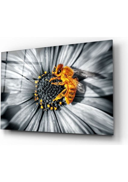 Bal Arısı Cam Tablo - 72X46 cm