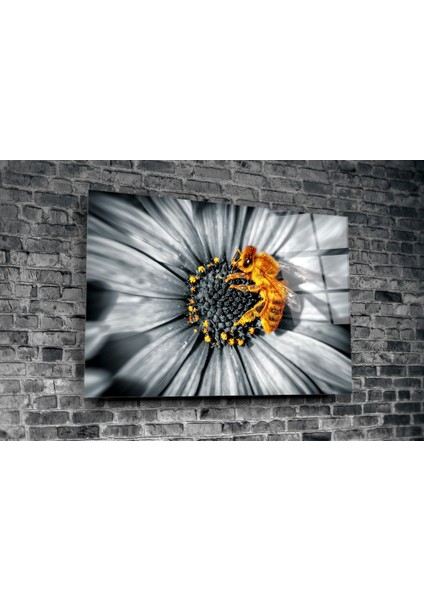 Bal Arısı Cam Tablo - 72X46 cm fiyatları