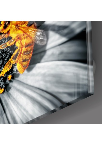 Bal Arısı Cam Tablo - 72X46 cm modelleri