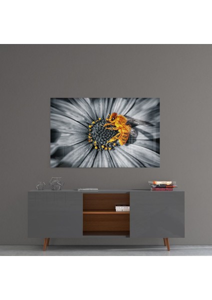 Bal Arısı Cam Tablo - 72X46 cm fırsatları