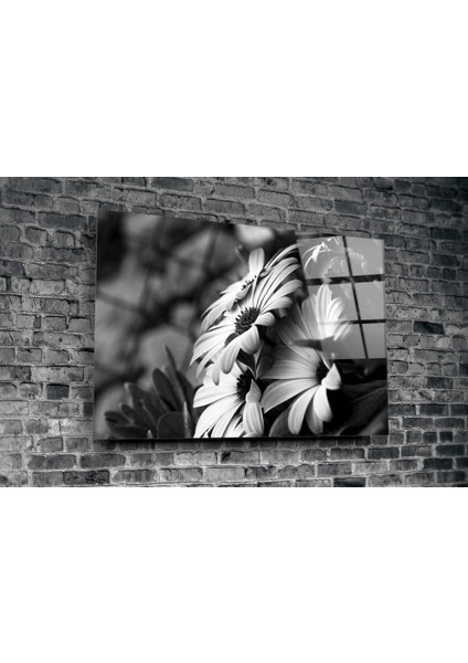 Siyah - Beyaz Çiçek Cam Tablo - 72X46 cm fiyatları