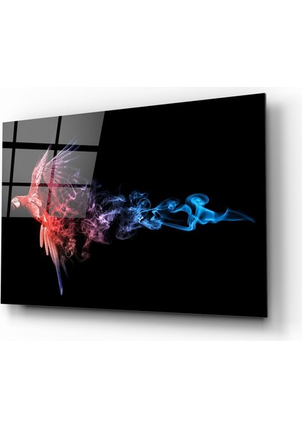 Papağan Cam Tablo - 72X46 cm