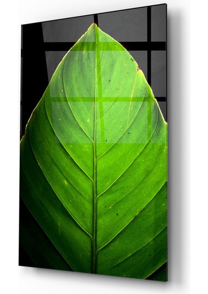 Yeşil Yaprak Cam Tablo - 72X46 cm