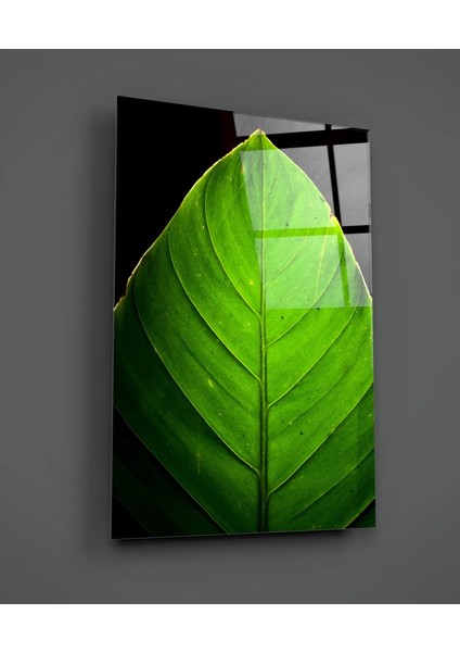 Yeşil Yaprak Cam Tablo - 72X46 cm
