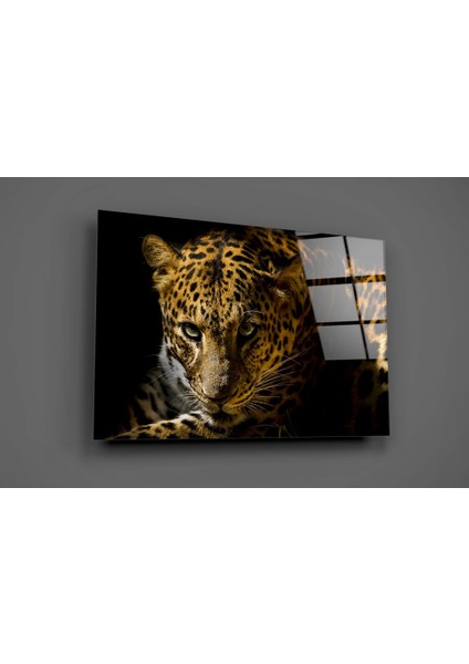 Leopar Cam Tablo - 72X46 cm