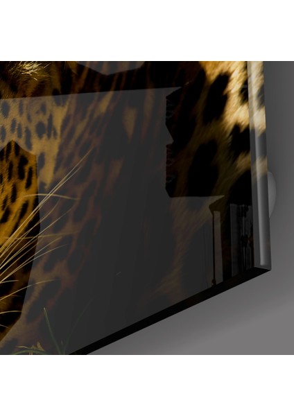 Leopar Cam Tablo - 72X46 cm