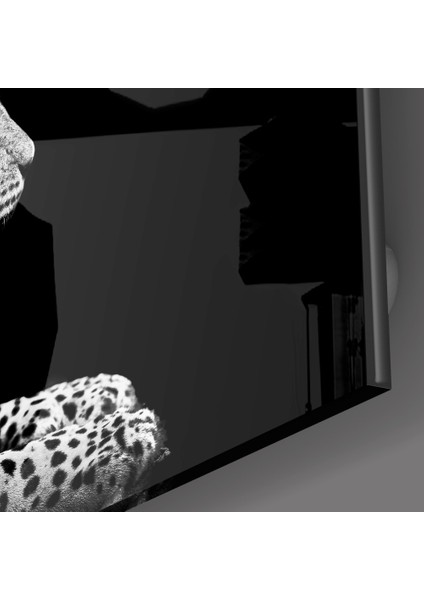 Leopar Cam Tablo - 72X46 cm modelleri