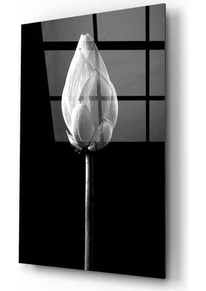 Çiçek Cam Tablo - 72X46 cm