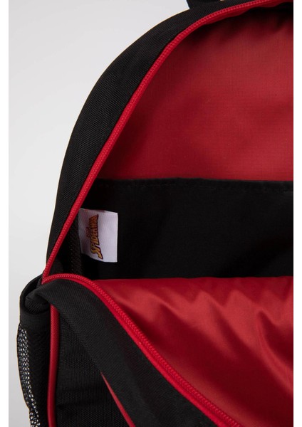 Erkek Çocuk Marvel Spiderman Okul Sırt Çantası Y0714A6NS indirimleri