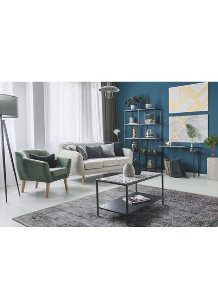 Verona Dyed Vrd 01 Koyu Gri Kolay Kullanım Yumuşak İpeksi Modern İnce Salon Halısı indirimleri