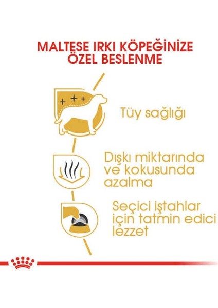 1.5kg Maltese Bulldog Adult Yetişkin Köpek Maması fırsatları