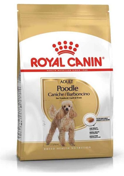 Poodle Adult Yetişkin Köpek Maması 3 Kg