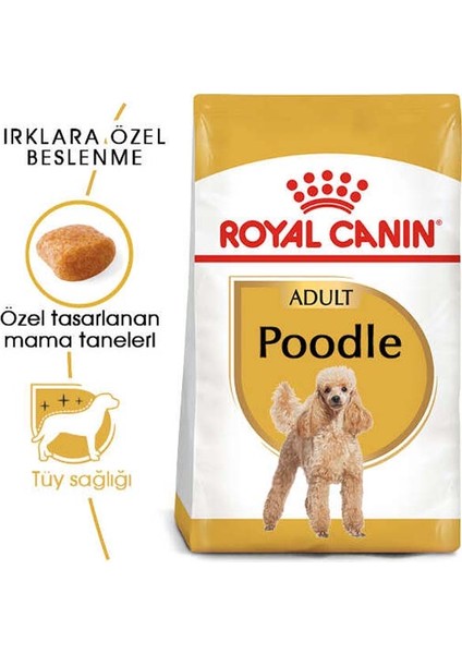 Poodle Adult Yetişkin Köpek Maması 3 Kg fiyatları