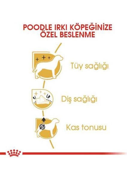 Poodle Adult Yetişkin Köpek Maması 3 Kg fırsatları