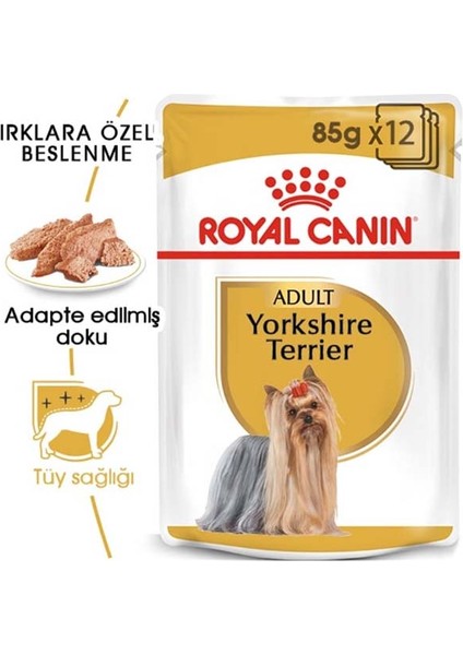 85GR Yorkshire Terrier Adult Yaş 12ADET Köpek Maması fiyatları