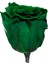 Rose Amor Xl Solmayan Zümrüt Yeşil Gül 2