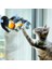 Tracks Interactive N 'rulo Topu Kedi Oyuncak | Kedi Oyuncakları 1