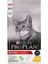 Cat Adult Tavuklu 1.5 kg 1