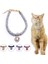 Lüks Kristal Kedi Yaka Kalp Mücevher Kolye 25 - 30CM (Yurt Dışından) 2