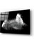 Tüy Cam Tablo - 72X46 cm 1