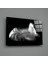 Tüy Cam Tablo - 72X46 cm 2