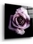 Mor Gül Cam Tablo - 80X80 cm 1