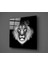 Aslan Cam Tablo - 60X60 cm 2
