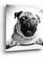 Pug Cam Tablo - 60X60 cm 1