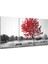 Sonbahar Ağacı Mega Cam Tablo - 3 Adet 72X46 cm 1