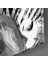 Zebra Cam Tablo - 40X40 cm 3