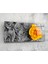 Sarı Gül 92X36CM Cam Tablo 1