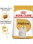 1.5kg Maltese Bulldog Adult Yetişkin Köpek Maması 2