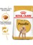 Poodle Adult Yetişkin Köpek Maması 3 Kg 2